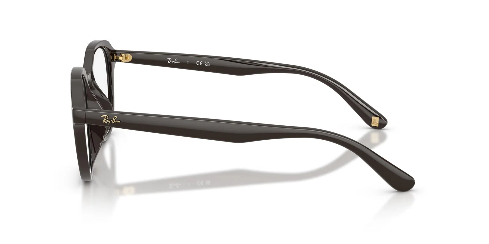 Ray-Ban 7259D Eyeglasses - view 44